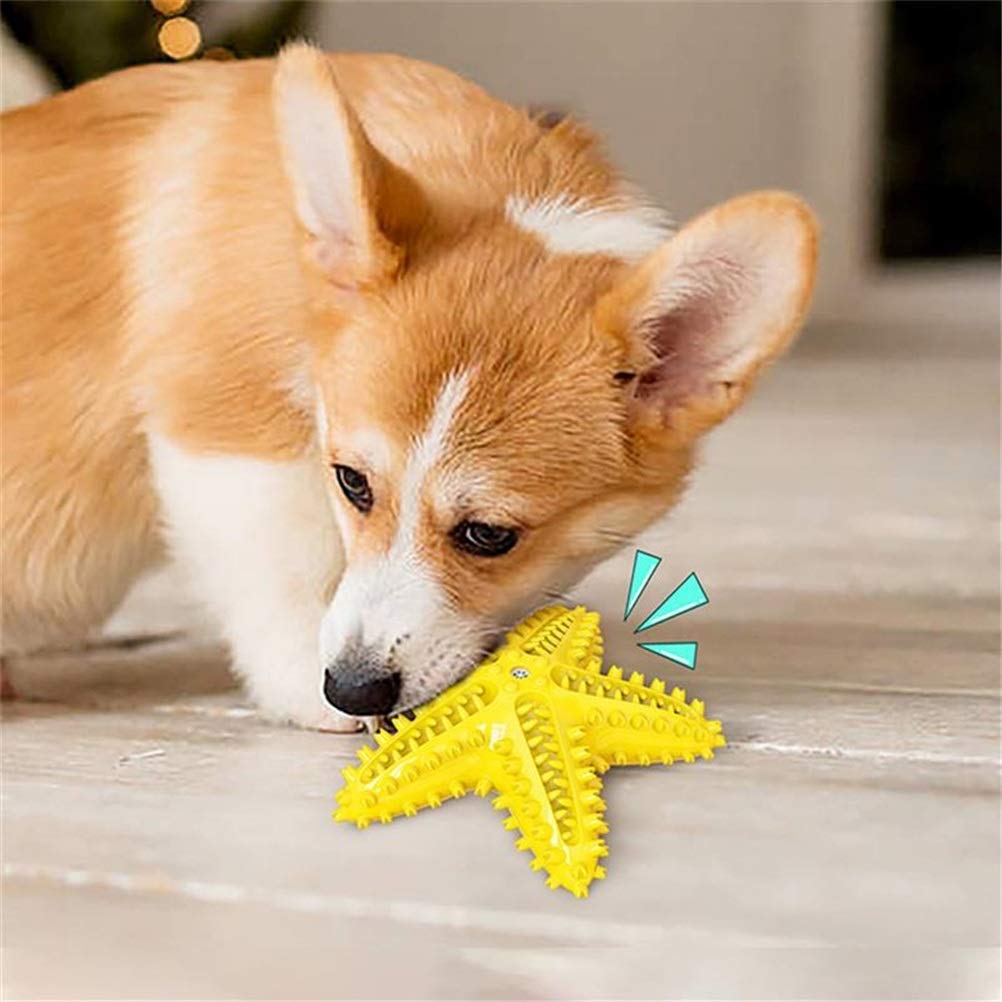 MU Starfish a Forma Di Animale Domestico Denti Denti Denti Ello Masticare Giocattolo Denti Denti Denti Rosicchianti Denti Puliti Osso Cane Denti Spazzolino da Denti da Masticare Gomma da Masticare Fo
