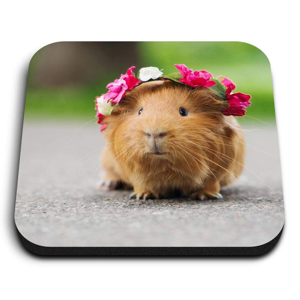 1 x Square MDF Fridge Magnet - ny Ginger Guinea Pig Rodent 24492