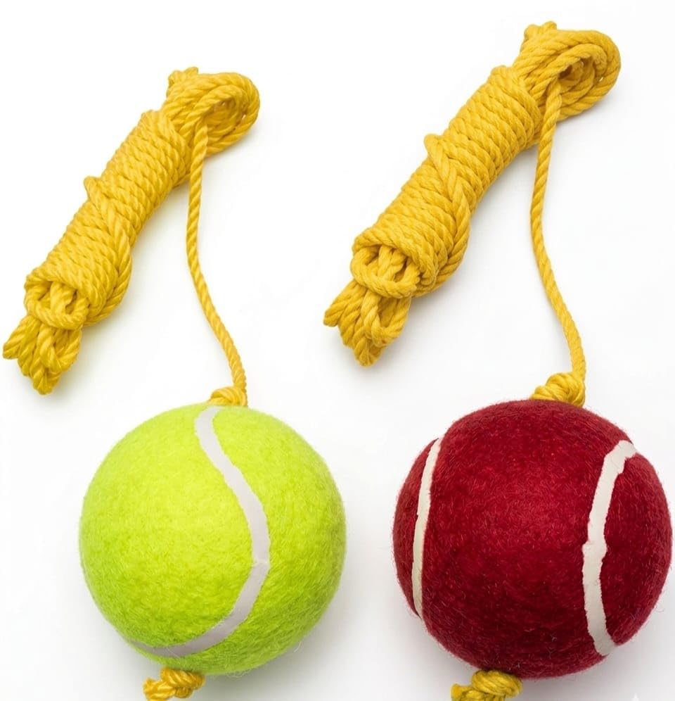 Image of Red & Green Cricket Tennis Hanging Practice Ball (Pack of 2)