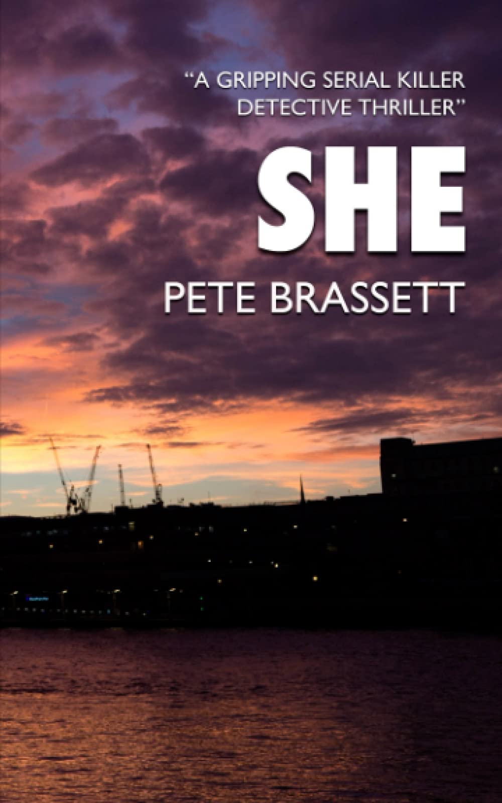 SHE: A gripping serial killer detective thriller (Detective Inspector Munro murder mysteries)