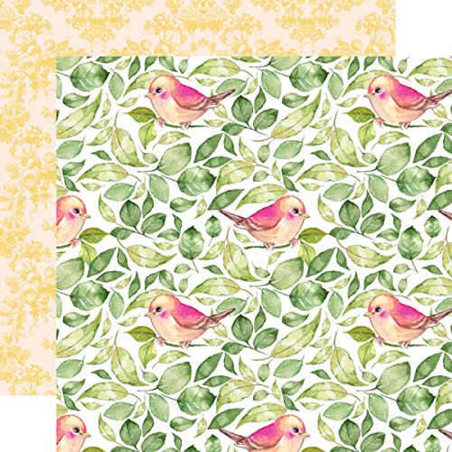 Webster's Pages, Papel de designer sem ácido, bloco de papel para scrapbooking deluxe - folhas cain