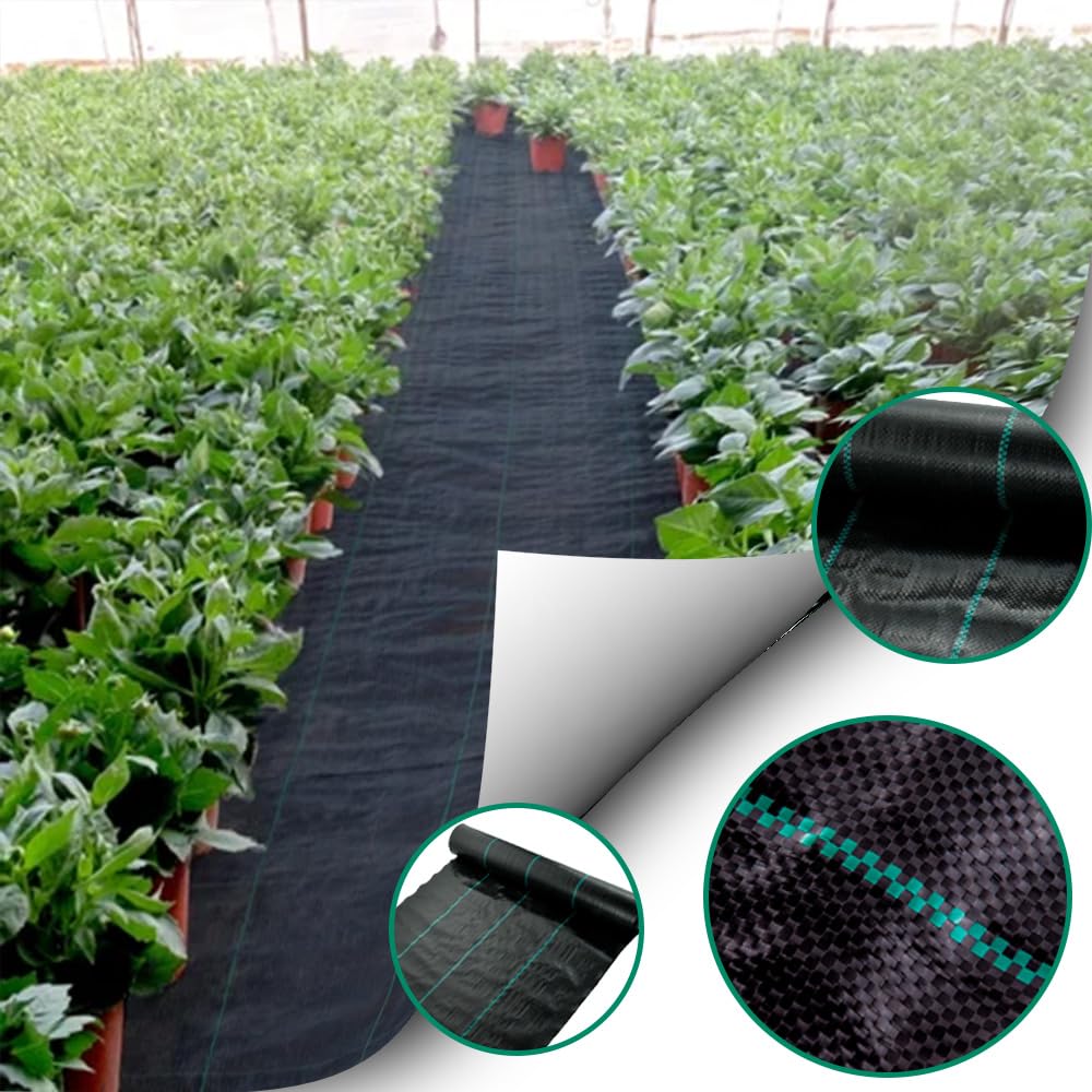 PWS 100 m² Reißfeste Unkrautfolie inkl. 20x Erdanker 100 g/m² | Wasserdurchlässig | Pflanzenvlies gegen Unkraut, Gartenvlies, Unkrautgewebe, Gartenfolie zur Unkrautbekämpfung | UV-stabil (50m x 2m)