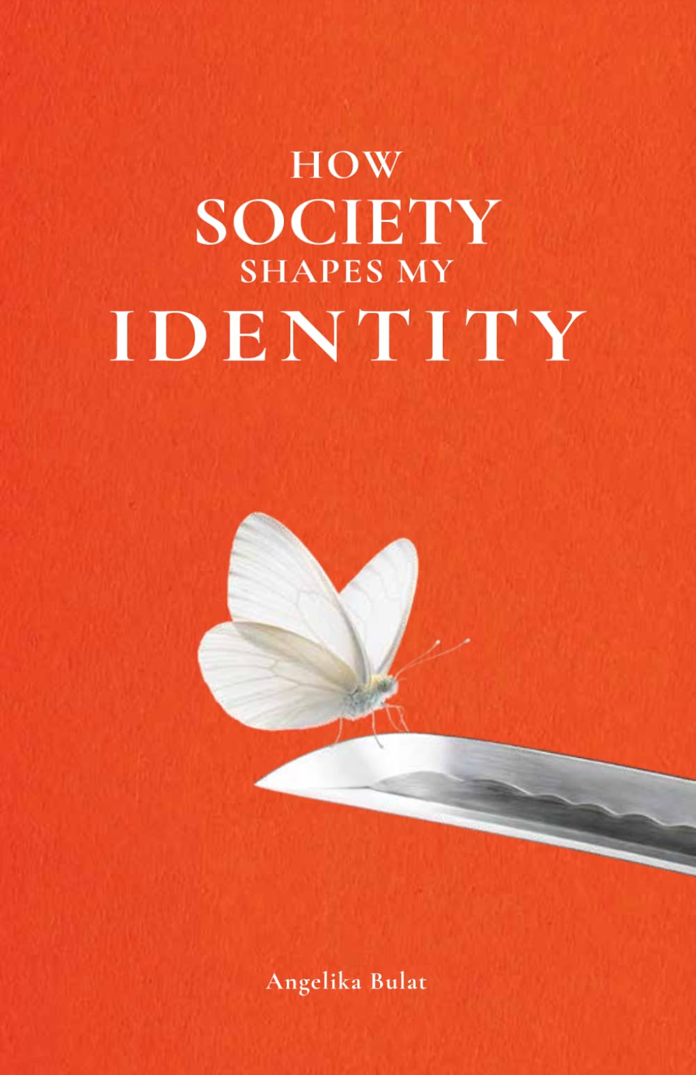 How Society Shapes My Identity