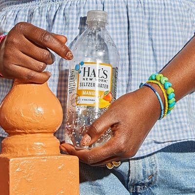 Hal's New York Seltzer Water, Mango Sparkling Water, 20 Fl Oz Bottles (Pack of 12)