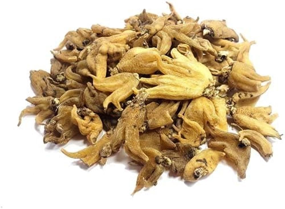 Salam Panja Hath Panja, Dactylorhiza hatagirea, Salap Panja, Marsh Orchids, Hatta had, Salap, Panch aunle, and Spotted Heart Orchid Original Pure 50grams pack