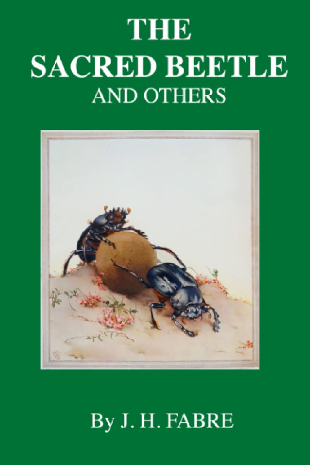 The Sacred Beetle and Others