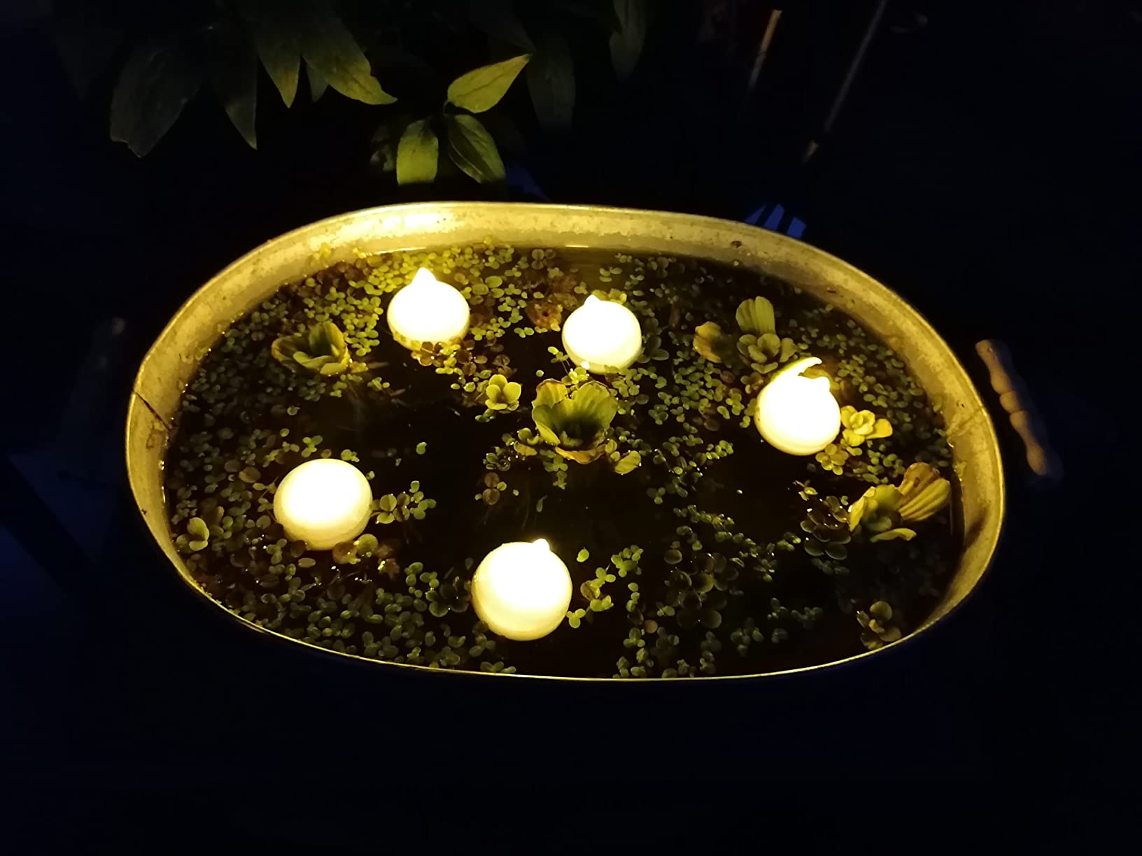 Amazon.de PChero LED Schwimmkerzen 12 Pack Schwimmende Wasserdichter