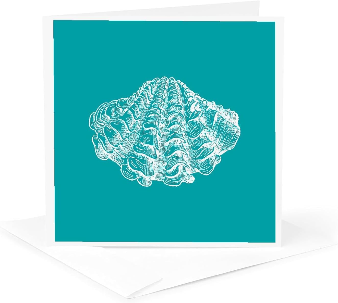 Teal Blue seashell etching print, clam beach ocean - Greeting Card, 6 x 6 inches, single (gc_164973_5)