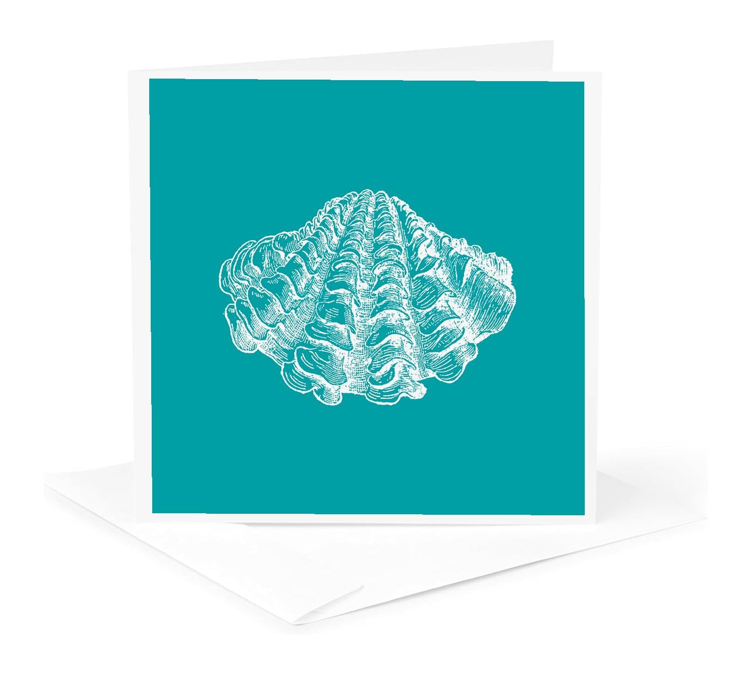 Teal Blue seashell etching print, clam beach ocean - Greeting Card, 6 x 6 inches, single (gc_164973_5)