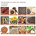 Oil Press Machine 110V 600W Commercial Oil Extraction Olive Extractor Nuts Seeds Oil Presser Mill Pressing Machine for Peanut Nuts Seed Olive (110V 600W)