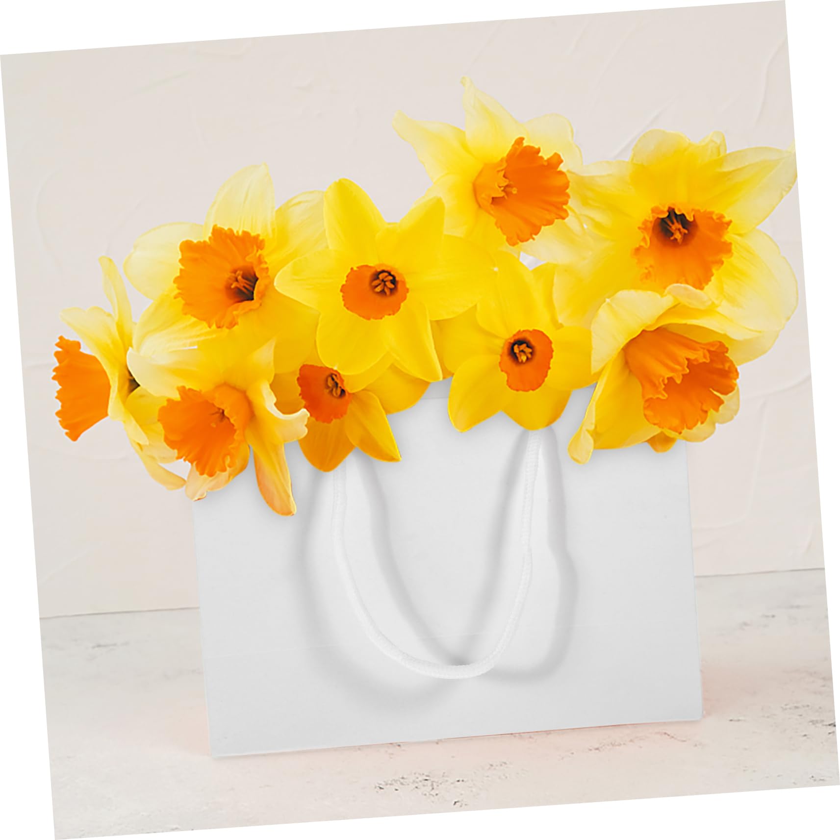 POPETPOP Kleiner Papiertüten 20 aus Papier und Baumwolle Weiße mit Griff Wiederverwendbar Geschenktüten im 20 Stück-pack für Geburtstag und Besondere Anlässe