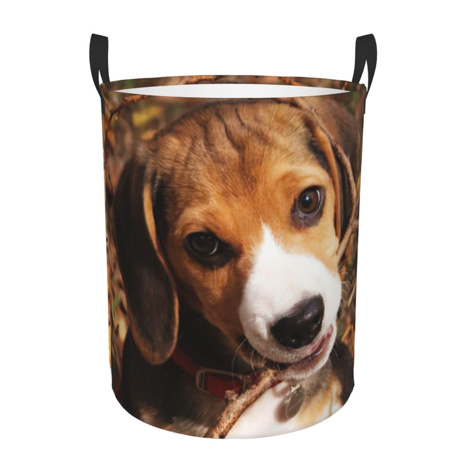 Panier à linge mignon motif beagle idéal pour couvertures de lit