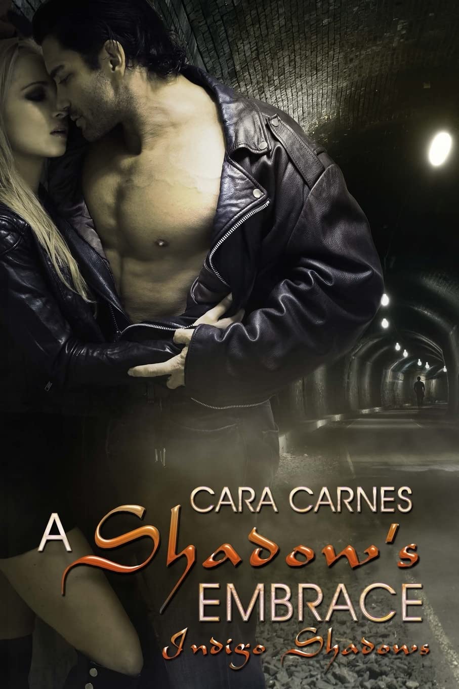 A Shadow's Embrace: Volume 1 (Indigo Shadows)