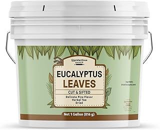 Unpretentious Eucalyptus Leaves, 1 Gallon, Herbal Tea, Cut & Sifted, Dried