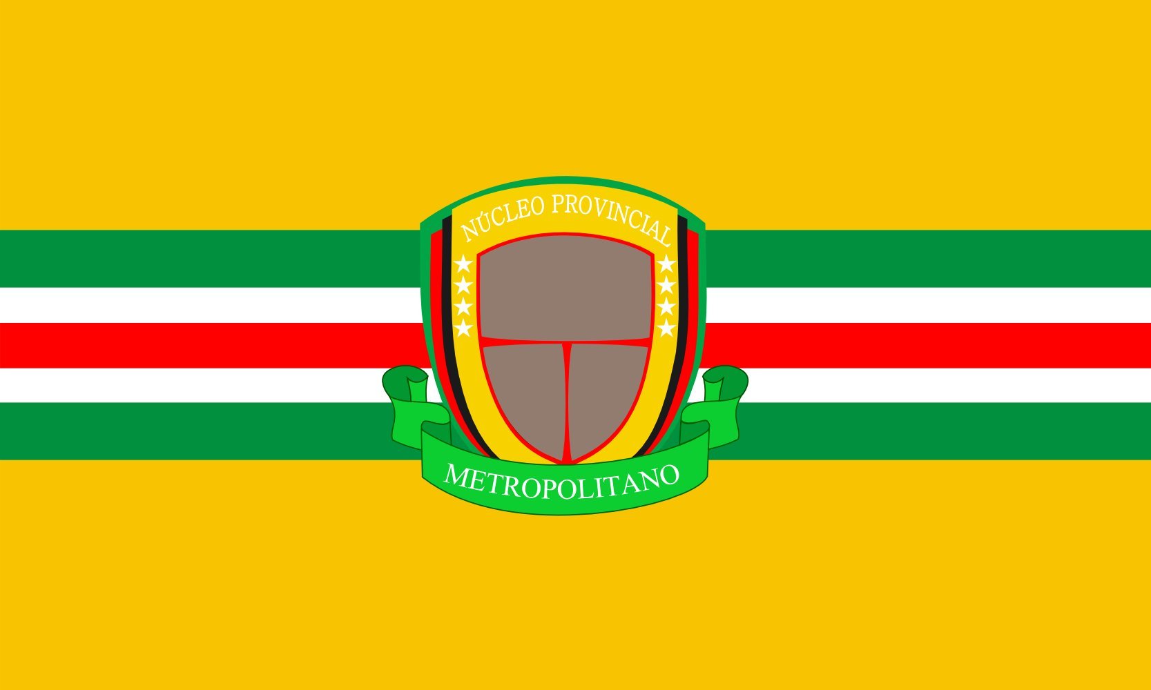 Drapeau Large Nucleo Provincial Desarrollo Metropolitano grand format pour mât extérieur