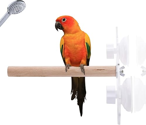 Bird Wood Shower Perch, Bird Stand Perch, Parrot Perch with Suction Cup for Home Outdoor Window Glass Birdcage Parakeet Cockatiel Stand