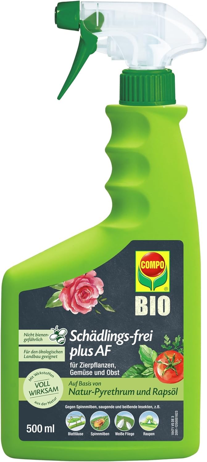 COMPO Schädlings-frei plus AF - Spray gegen Blattläuse, Schildläuse, Wollläuse, Buchsbaumzünsler & Co. - für Zierpflanzen und Kernobst - 500 ml - anwendungsfertiges Insektizid