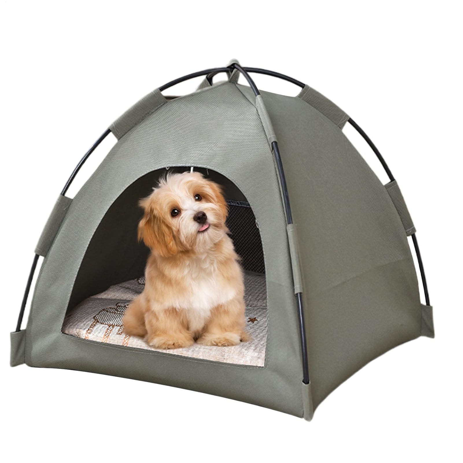 Tente pour chat extérieur maison portable lit respirant chaton chiot lapin voyage camping