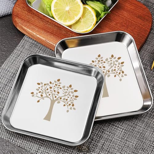 Image of Stainless Steel Plates Set of 6 | Square Plates | Breakfast /Lunch /Dinner Plates Set of 6, Diameter: 8 Inches (Plain) (10 Inches, Laser Print)
