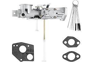 Briggs & Stratton 5 HP Carburetor