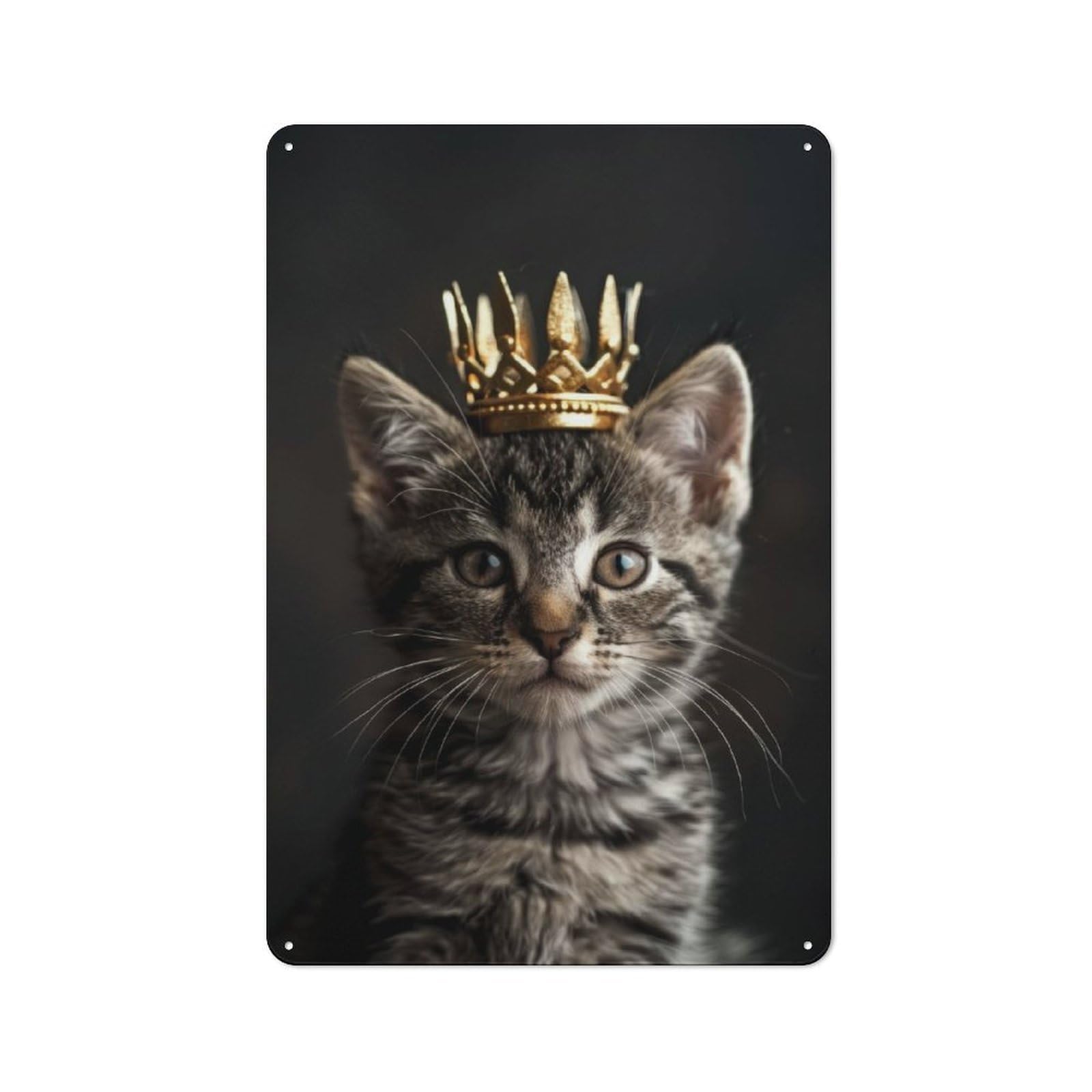 Junmoney Kitten Cat Cute King Nostalgic Metal Wall Sign 30X20cm, Bar Wall Plaque For Pub, Home Bar, Shed Or Man Cave