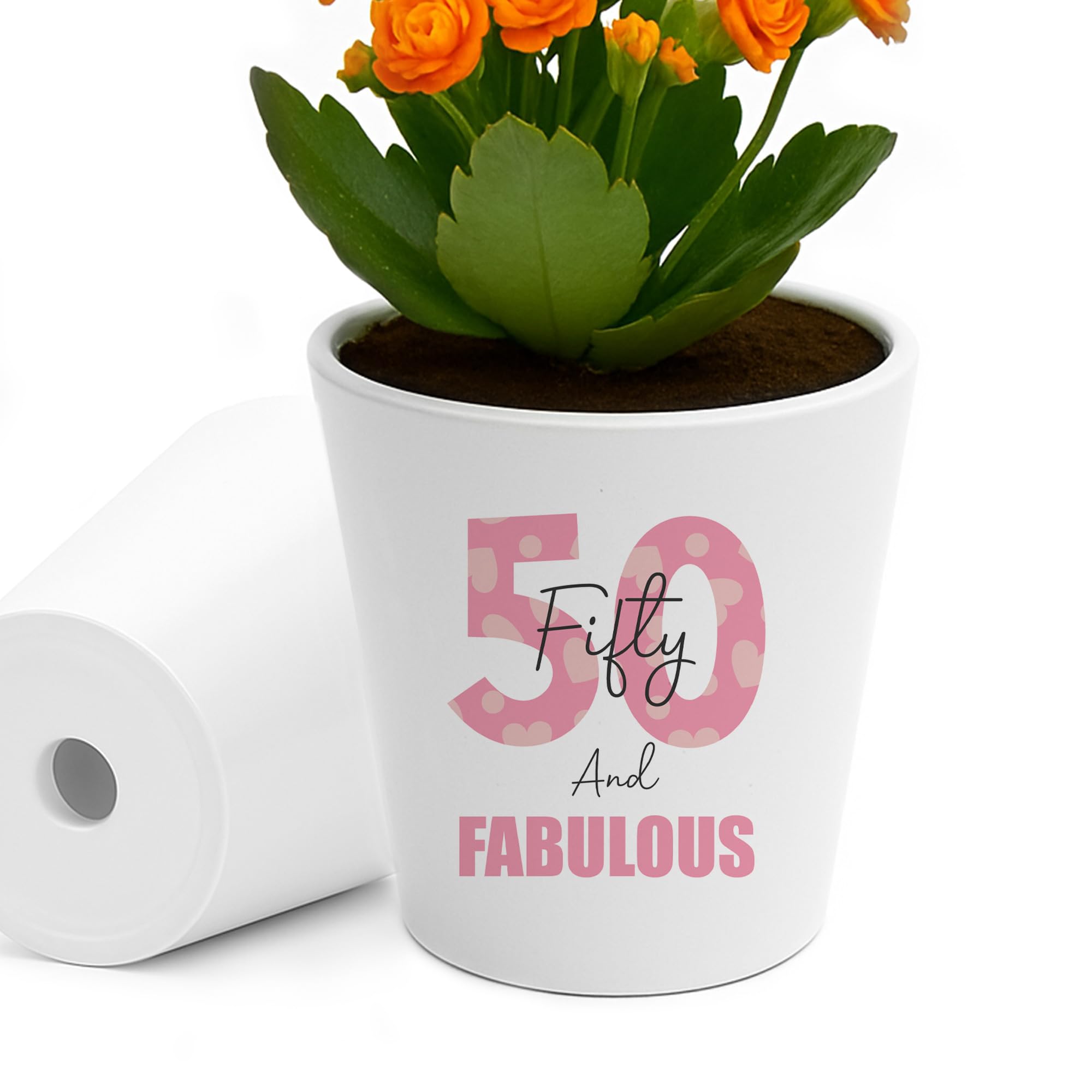RED OCEAN 50th Birthday Gift For Mum Auntie Sister Best Friend Plant Pot Birthday Gift For Her Women 50 And Fabulous Women Keepsake