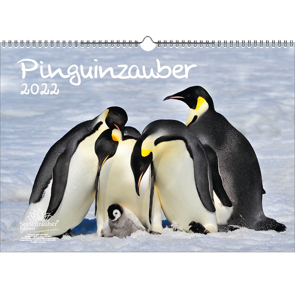 Penguin Magic DIN A3 Calendar for 2022 Penguin Seelenzauber