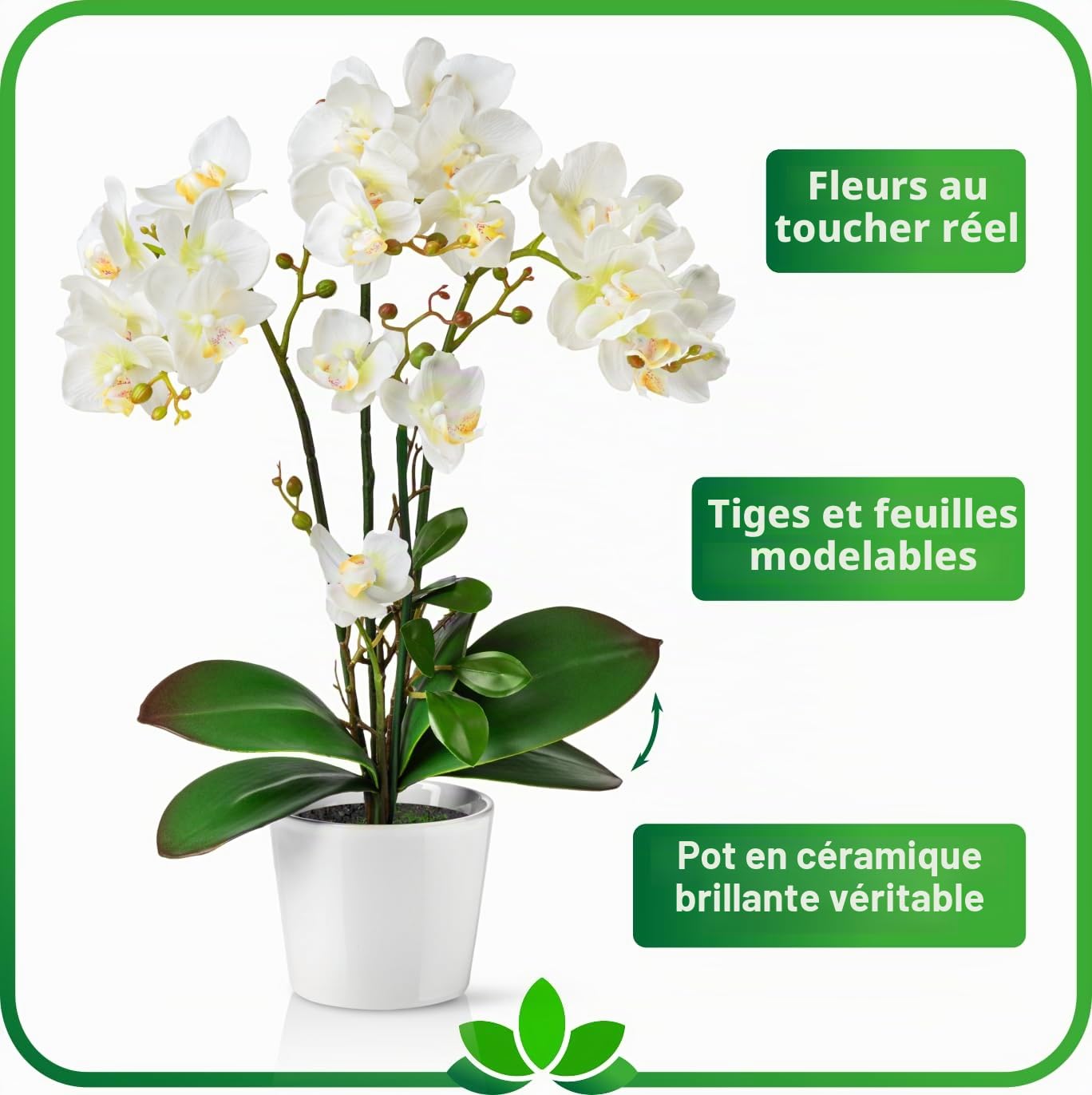 PASCH® Orchidées Artificielles Dans Des Pots en Céramique Brillante (46 cm) | Fleurs en Pot (Blanc)