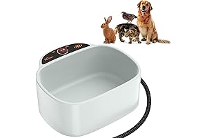 Heated Outdoor Pet Bowl for Cats