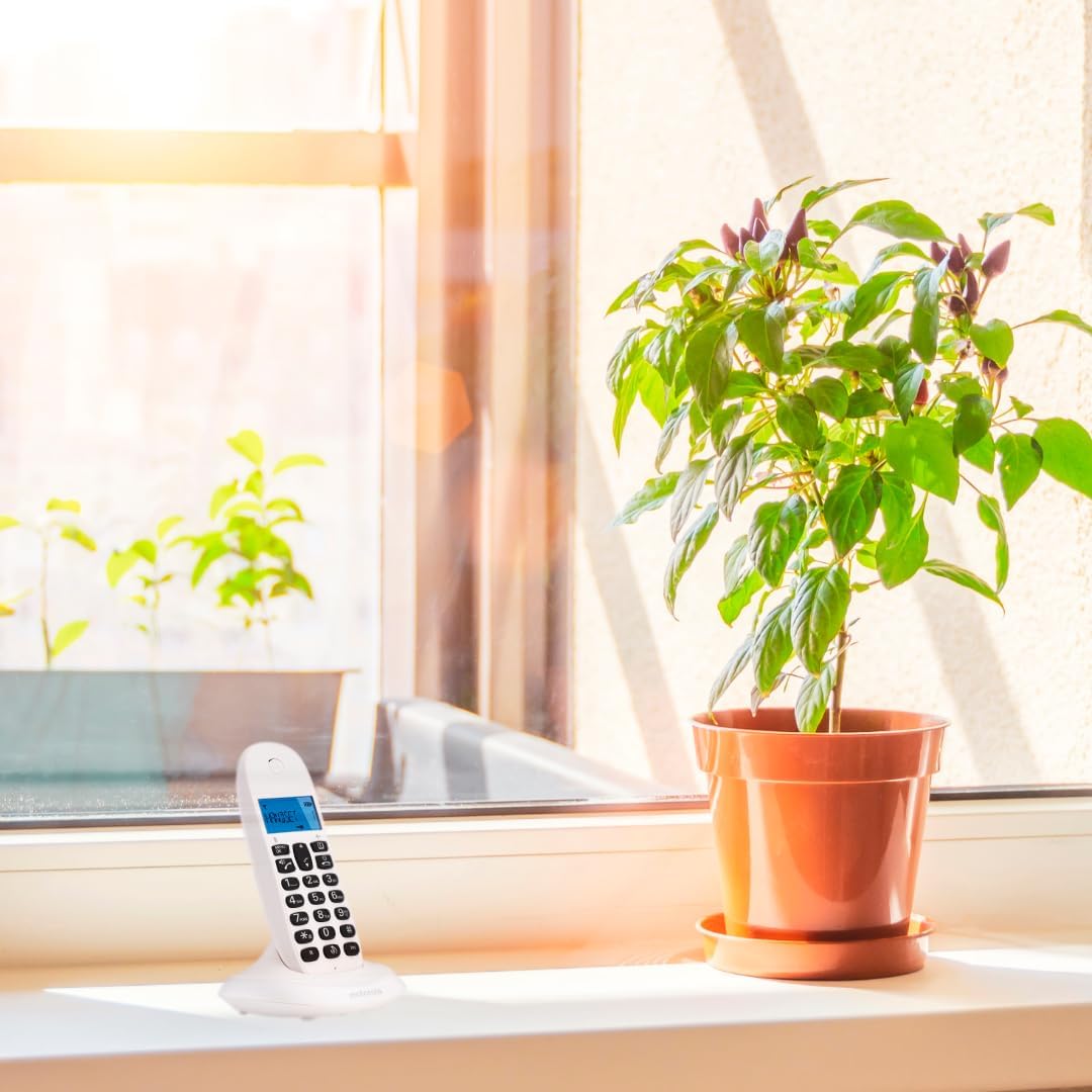 Motorola C1001CBW+ – Digitales DECT-Schnurlostelefon – Anrufblockierungsmodus, Anrufer-ID, Freisprecheinrichtung, Telefonbuch mit 50 Nummern, hintergrundbeleuchteter Bildschirm – Weiß