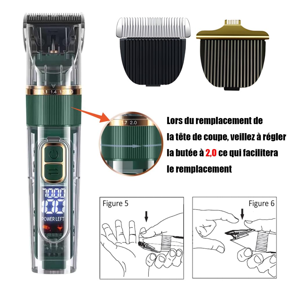 Tondeuse Professionnelle pour Chien et Chat, avec Écran LED, 4 Peignes de Limite, 3 Vitesses, Étanche IPX7 - pour Poils Longs et Noeud (Vert)