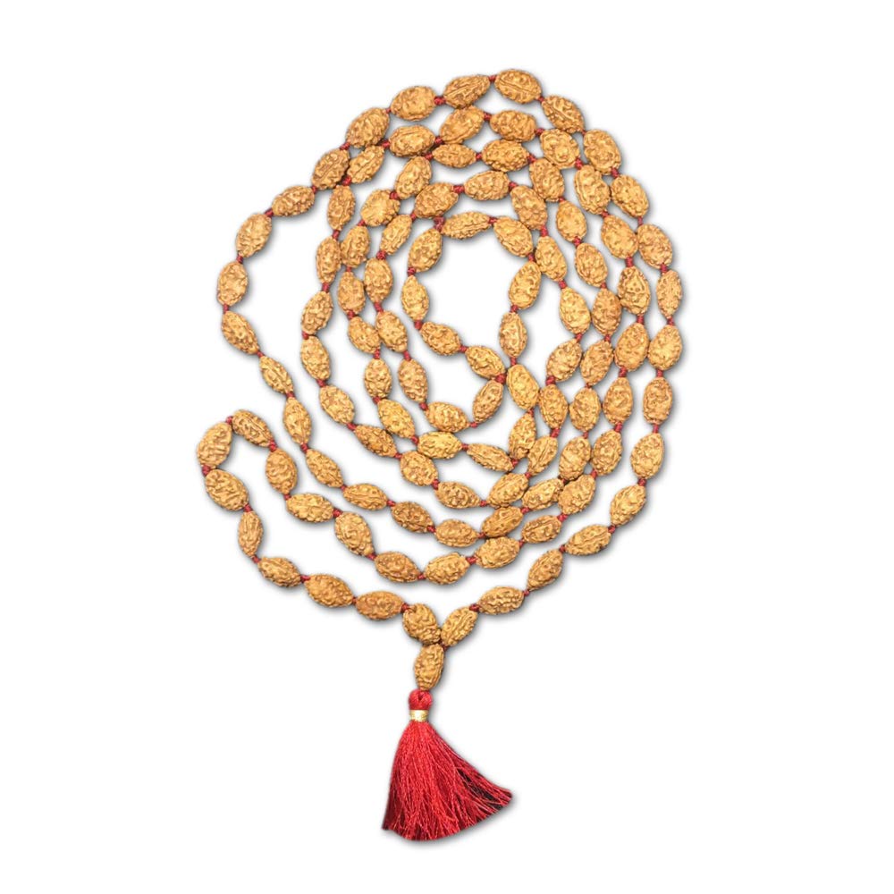 Mala 2 Mukhi Rudraksha Indonésien pour Trouver l'Harmonie du Yoga au Quotidien