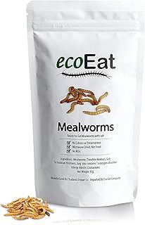 Edible Insects Edible Mealworms (Tenebrio Molitor) - 15g Bag - Edible Snack Gift