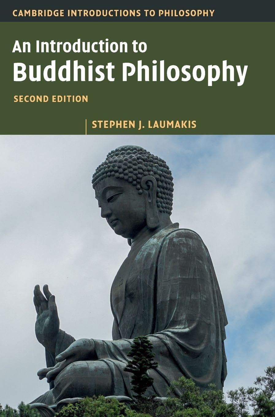 An Introduction to Buddhist Philosophy (Cambridge Introductions to Philosophy)