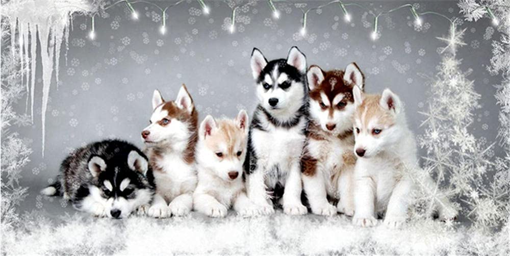 Zolne Diamond Painting Chien Husky Broderie Diamant Painting Diamond Complet Peinture Diamant Diamond Painting Enfant Peinture Diamant 5d Complet Canevas Diamant Kit Complet Square Drill 70x140cm