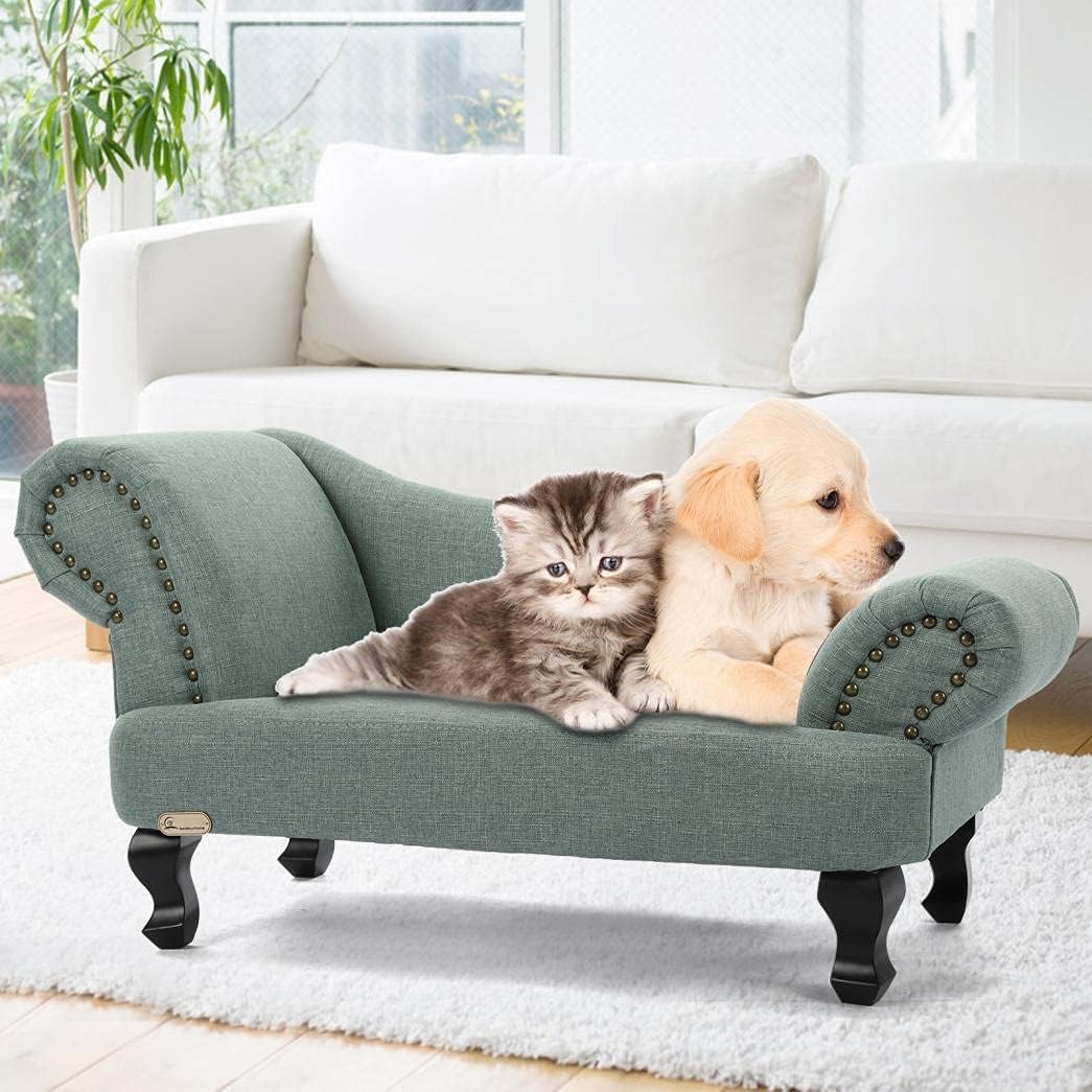 Premium Cat Couch Bed - 2021 Upgrade Climbing Sofa, Long Cat Sofa Plush Pillow, Pet Cat & Dog Streamlined Comfortable Recliner Sofa for Small Middle Dog Cat : Pet Supplies