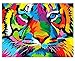 iFymei DIY Oil Painting Kit , Paint by Numbers for Adults & Kids & Beginner , 16 x 20 inch Canvas & Acrylic Paints - Coloured Tiger