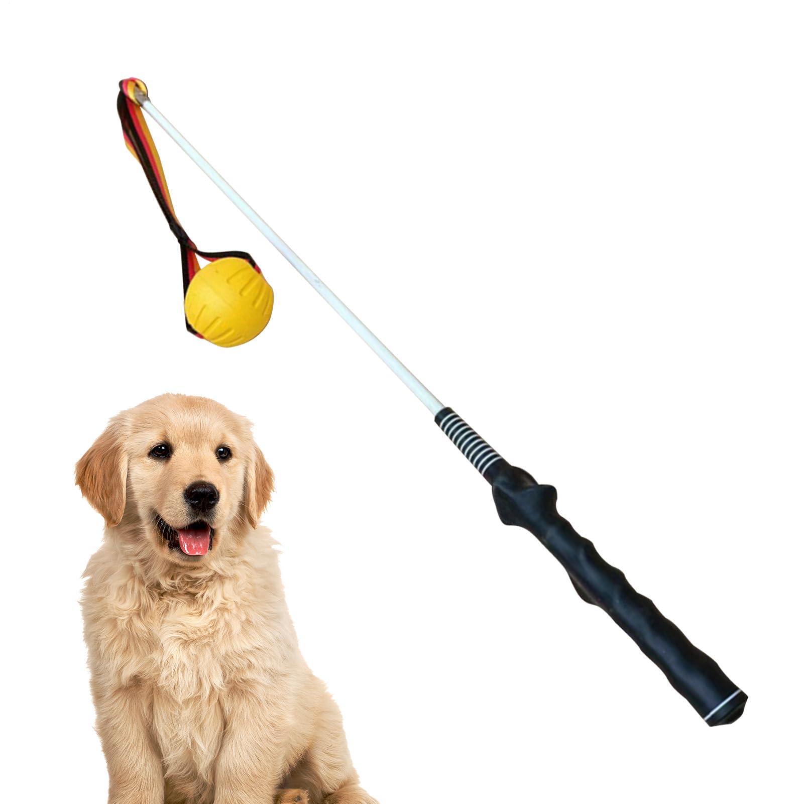 Générique Gioco di Tiro con la Corda - Bastone solido per cuccioli energetici | Strumento di esercizio per animali da compagnia, attività all'aperto per allenamento fisico e quotidiano