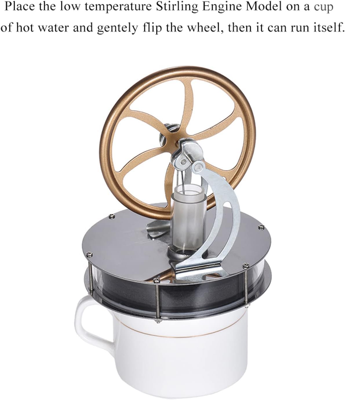 Motore Stirling a Bassa Temperatura, Regalo educativo del Modello di Calore del Vapore, del motore Stirling a bassa temperatura per l'ornamento artigianale Model Engine Kits