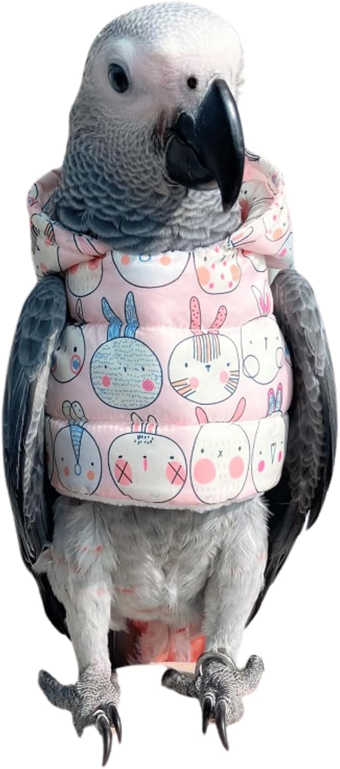 Bird Cloth Christmas Party Birthday Costume for Parrot Halloween Pet Birds Clothes Birds Cosplay Outfit Pink Hoodies (Macaw)