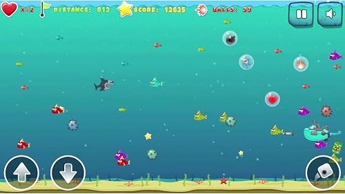 Mad Shark – vue 6