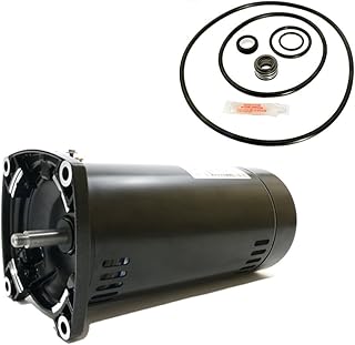 Puri Tech Replacement Motor Kit for Sta-Rite Max-E-Glas II 1HP P4EA6E-150L AO Smith USQ1102 w/GO-KIT-38