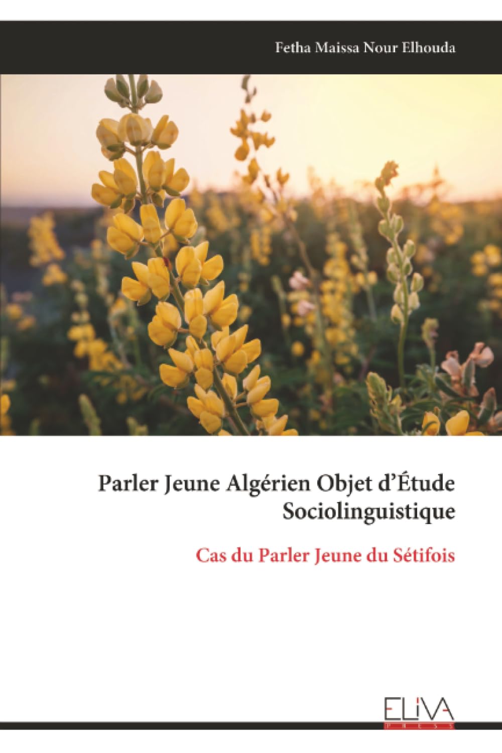 Parler Jeune Algérien Objet d’Étude Sociolinguistique: Cas du Parler Jeune du Sétifois