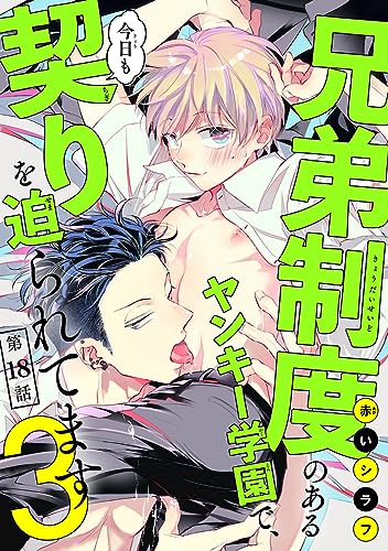 兄弟制度のあるヤンキー学園で、今日も契りを迫られてます #18
