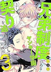 Amazon.co.jp: 兄弟制度のあるヤンキー学園で、今日も契りを迫られて
