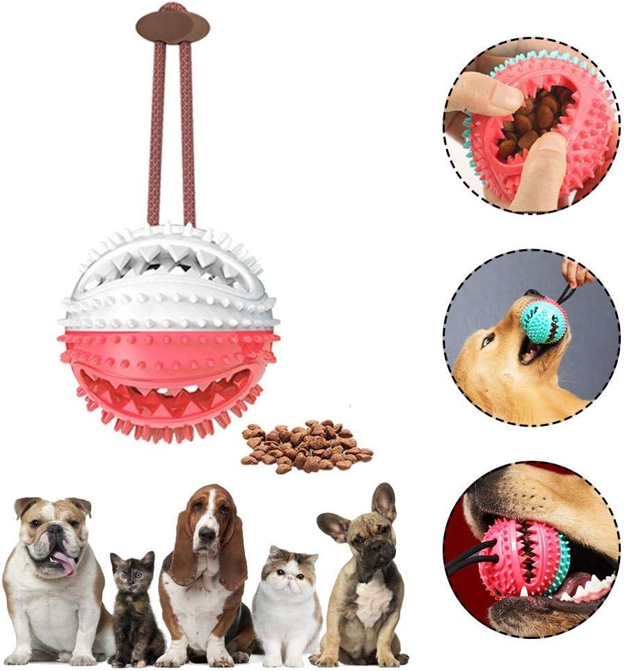 campana a sfera per cani