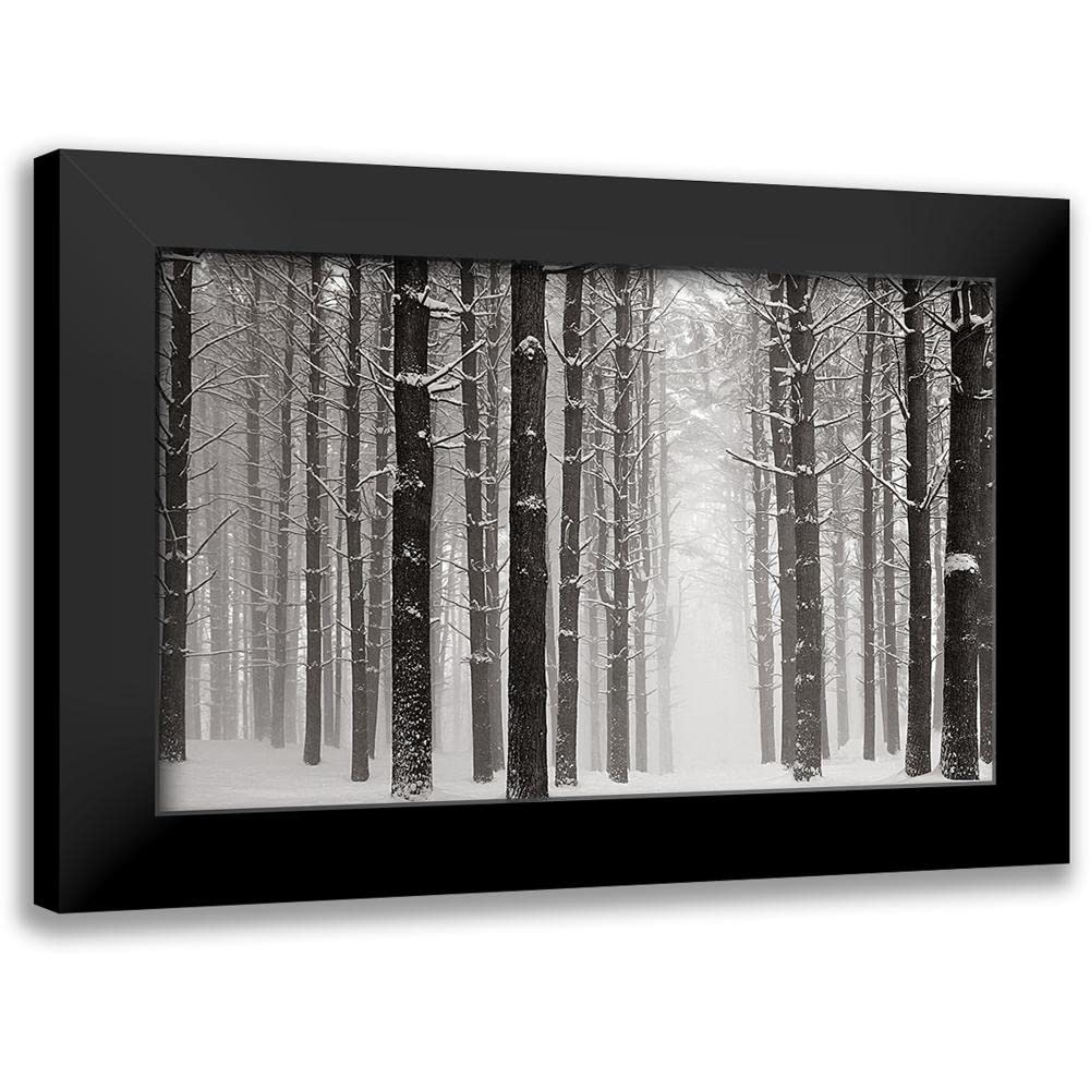 ArtDirect - McLoughlin, James 18x13 Black Modern Framed Art Print Titled: A Snowy Walk V