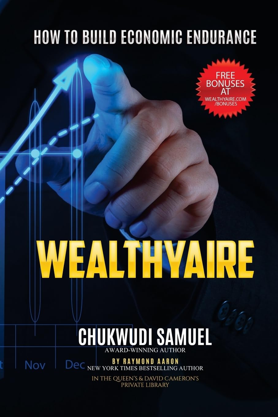 Wealthyaire: How To Build Economic Endurance