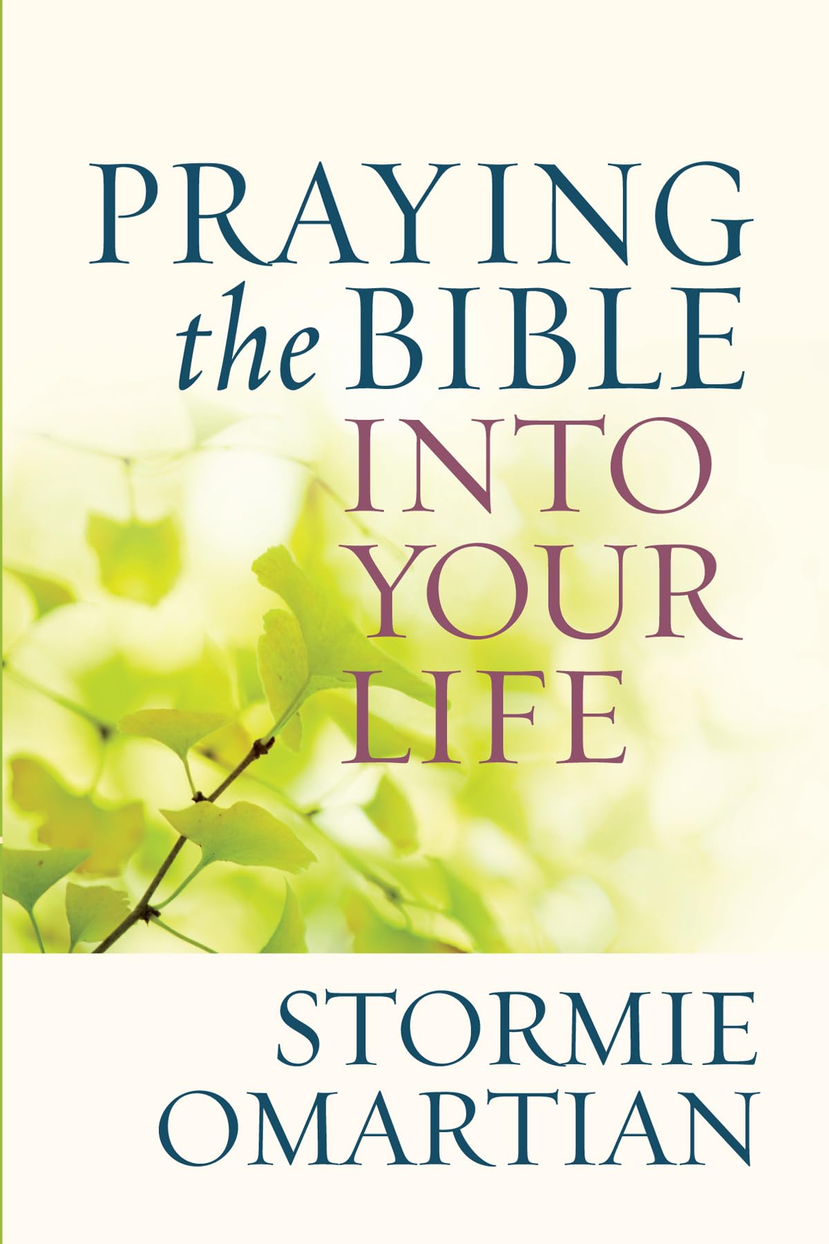 Praying the Bible into Your Life by Stormie Omartian (Paperback Book)