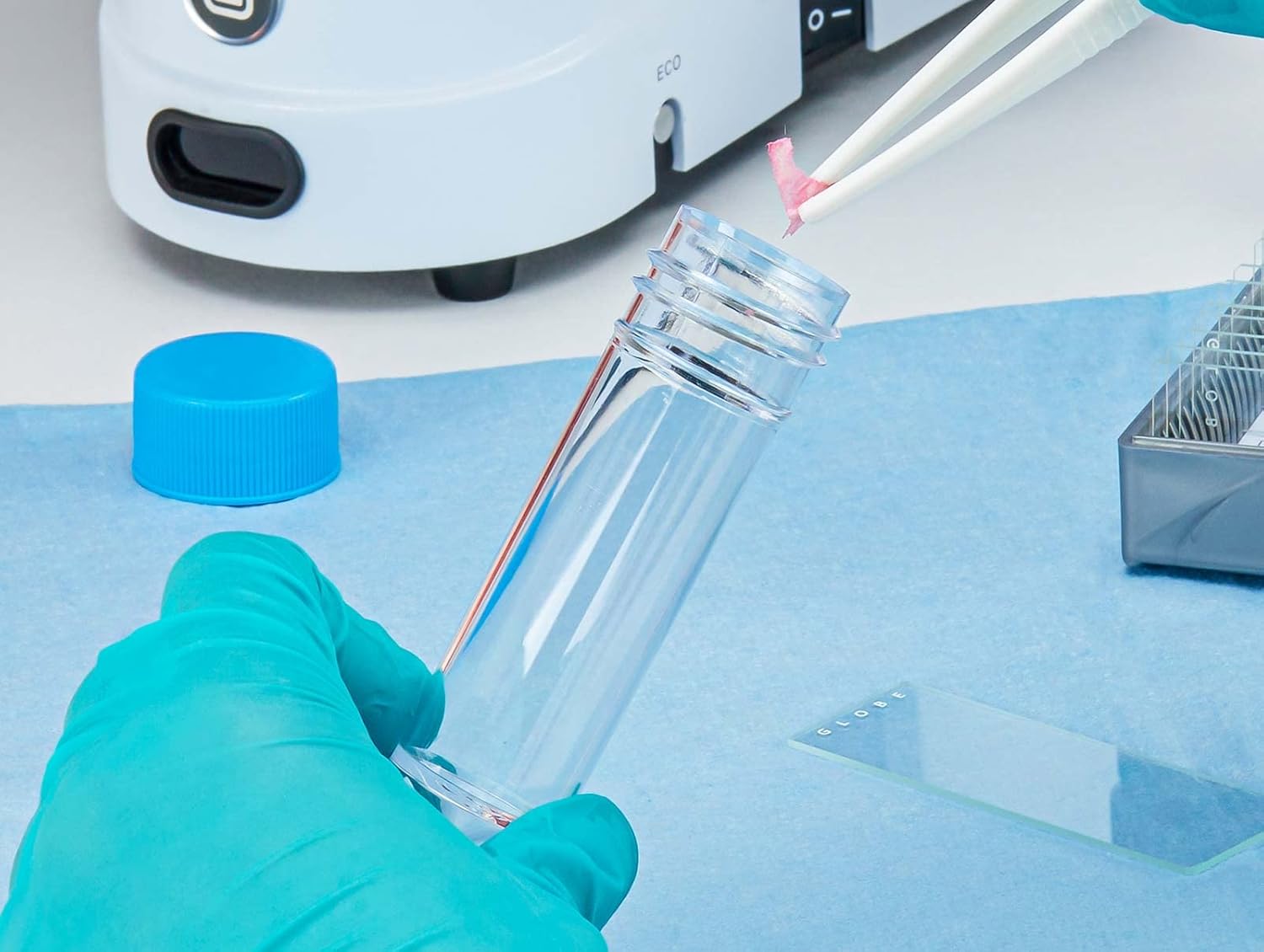 Globe Scientific 109217 Polystyrene Conical Bottom Universal Centrifuge Tube with Screwcap, Self-Standing, 30mL Capacity (Case of 500)